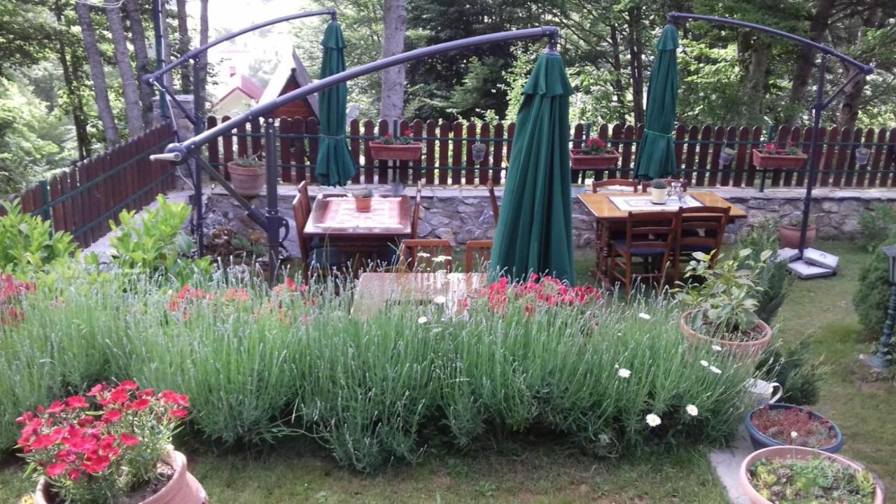 Restaurant And Apartments - T'Ga Za Jug Lazaropole Kültér fotó